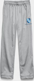 Women's Under Armour Team Fleece Pant, Grey